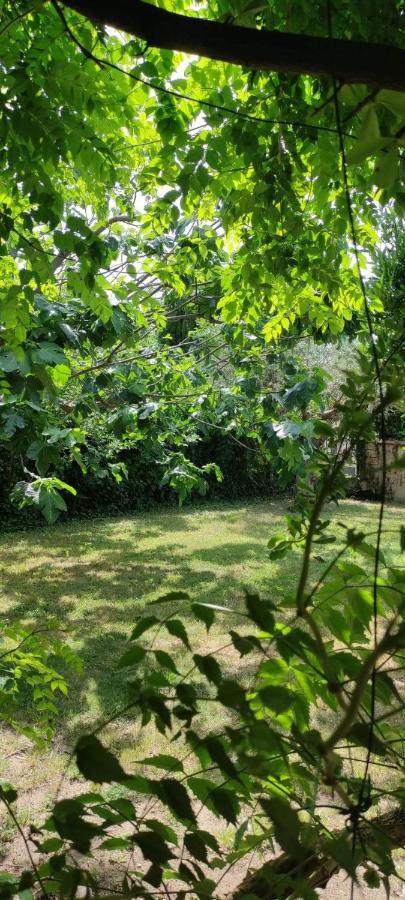 Villa Kapetanakis Redessan Esterno foto
